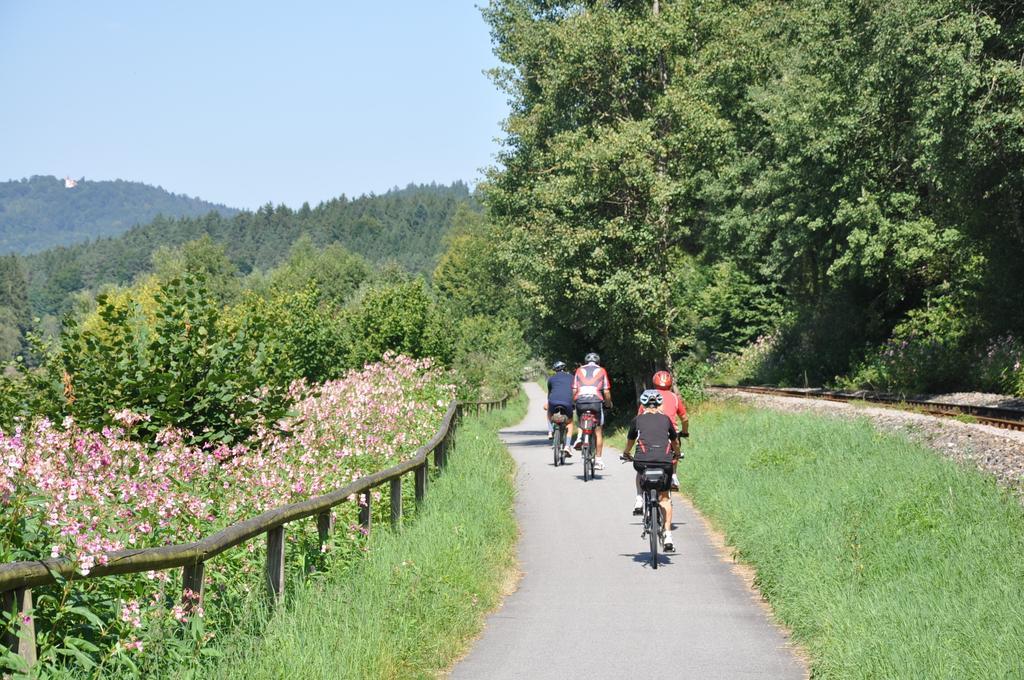 Ferienwohnung Regentalblick Miltach エクステリア 写真