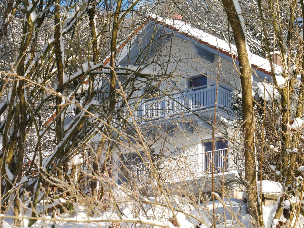 Ferienwohnung Regentalblick Miltach エクステリア 写真