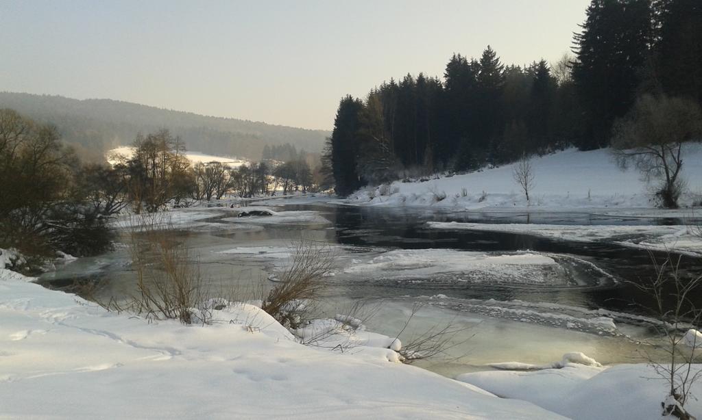 Ferienwohnung Regentalblick Miltach エクステリア 写真